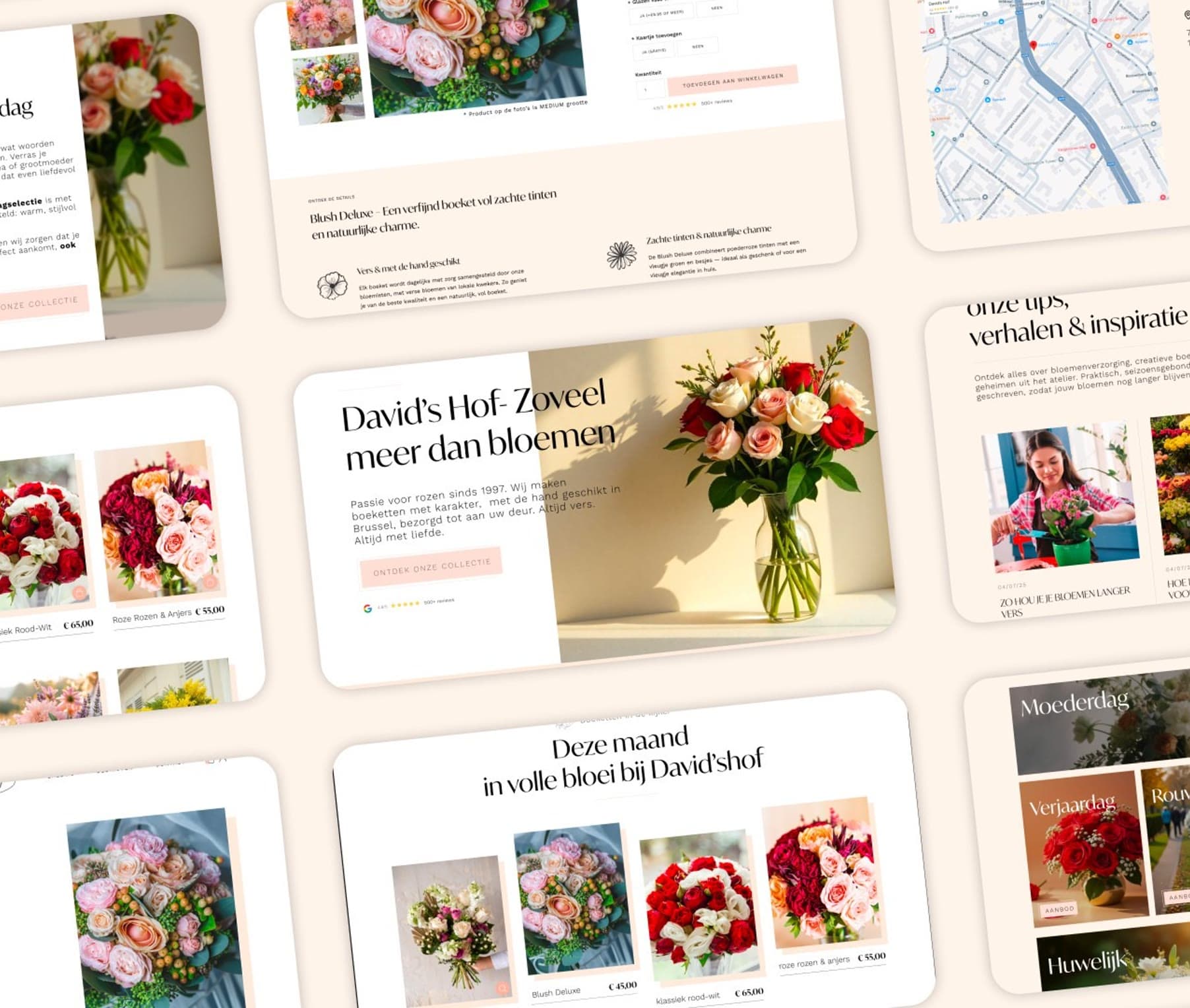Overzicht van de pagina’s van de webshop van David’s Hof